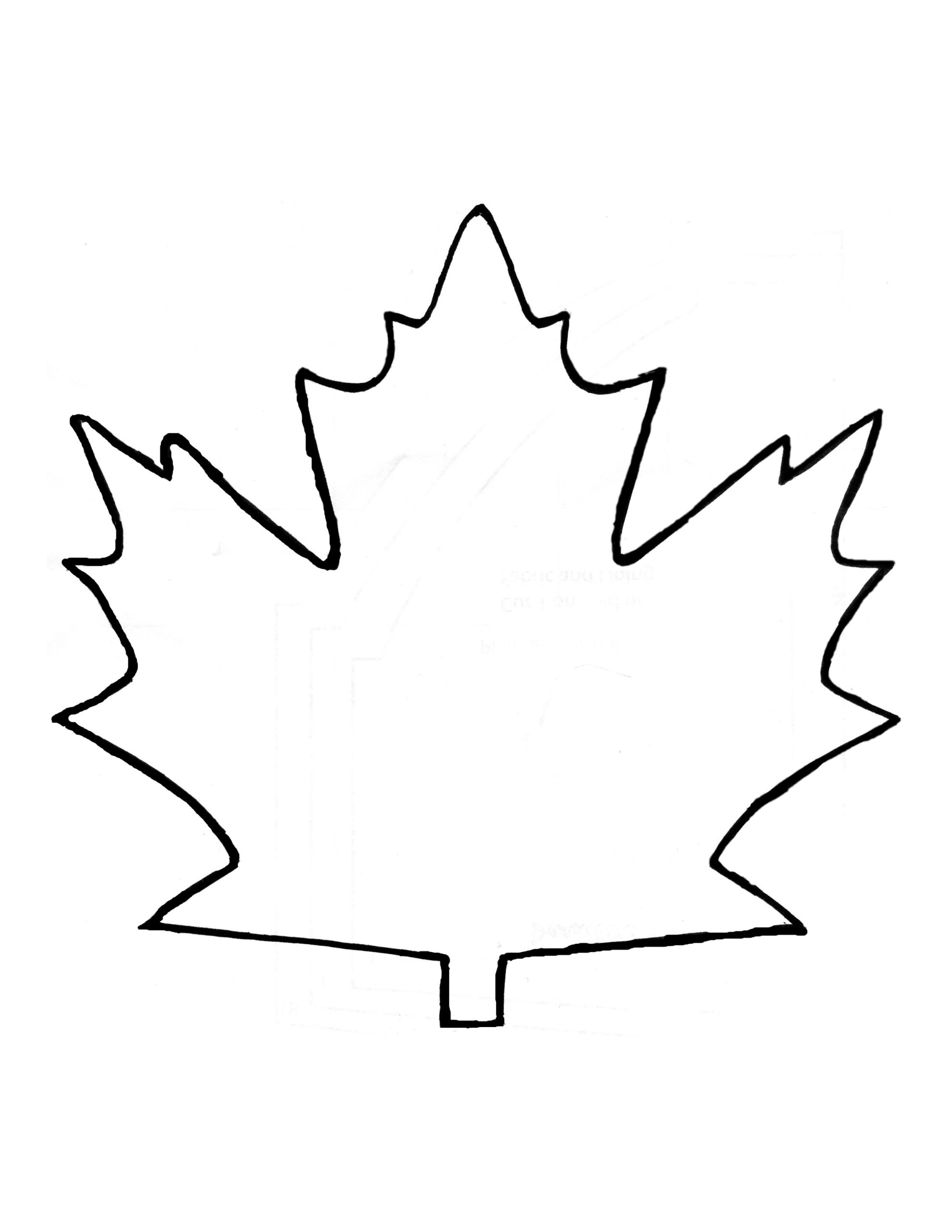 Maple Leaf Template Free Printable ClipArt Best