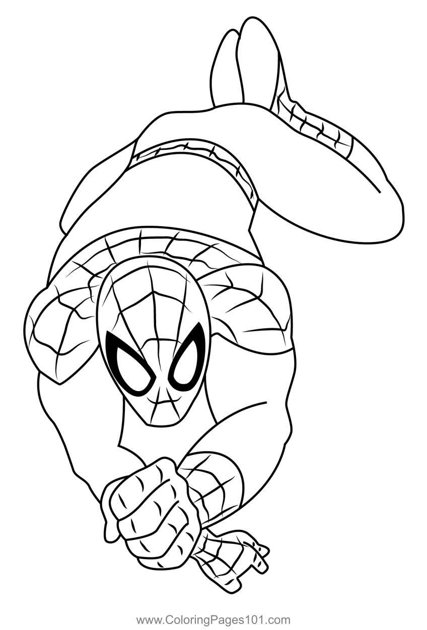 Marvel Universe Ultimate Spider Man Coloring Page For Kids Free 