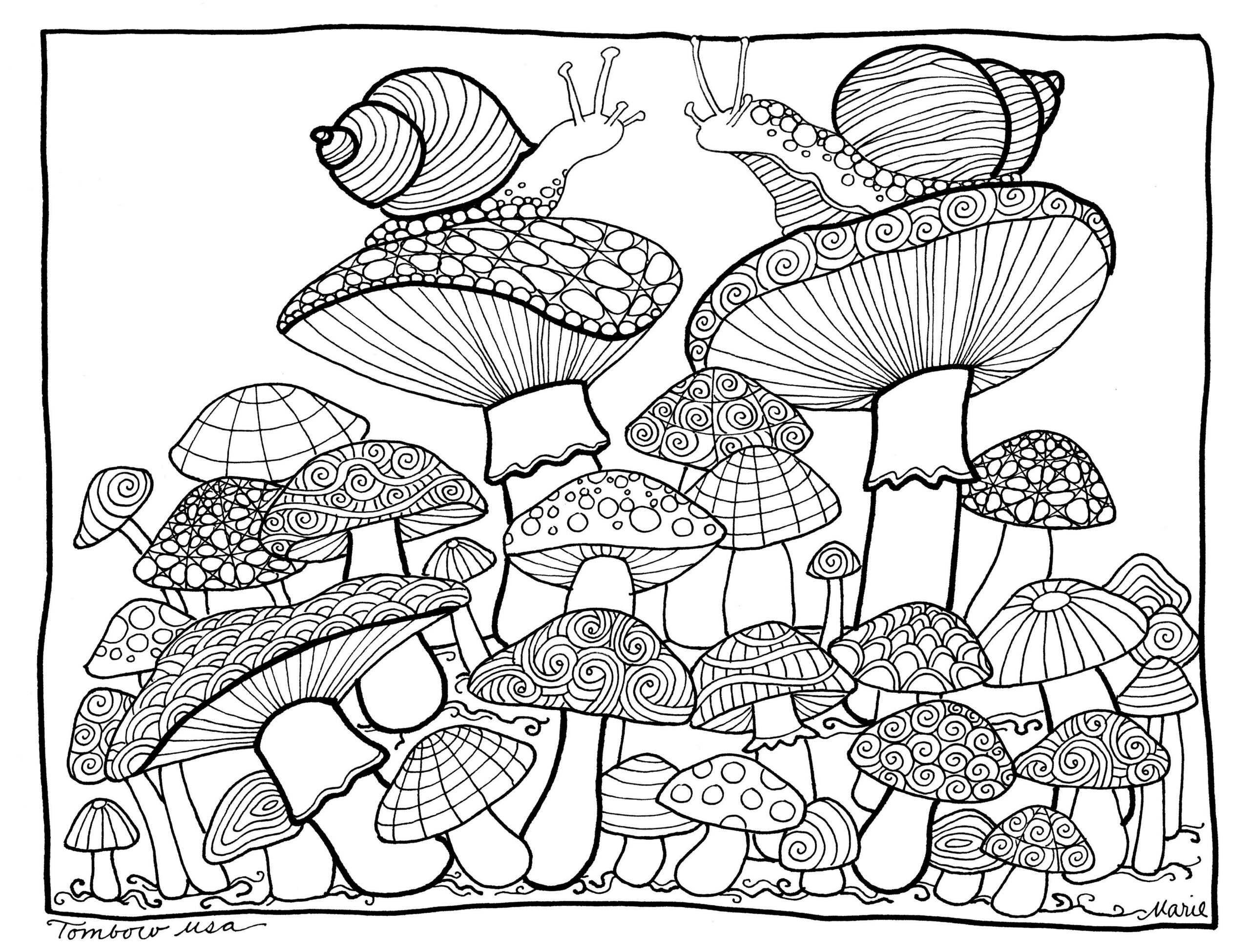Mushroom Coloring Page At GetColorings Free Printable Colorings 