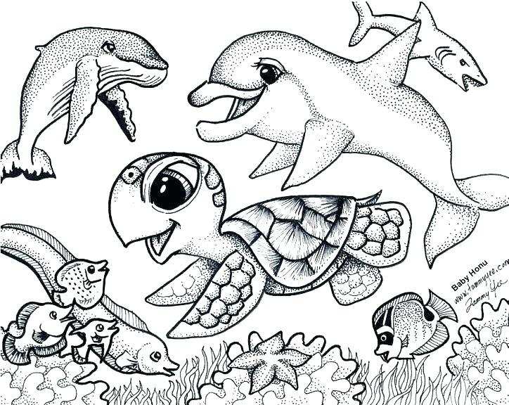 Ocean Animals Coloring Pages At GetColorings Free Printable 
