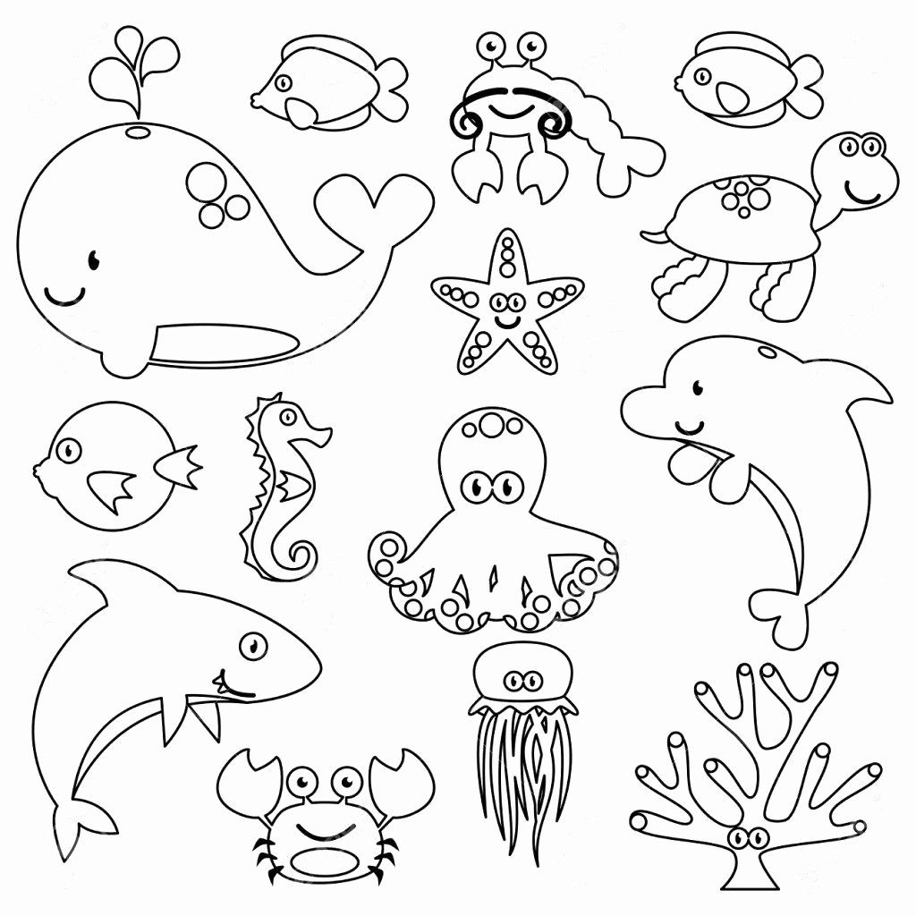 Ocean Sea Creatures Coloring Pages