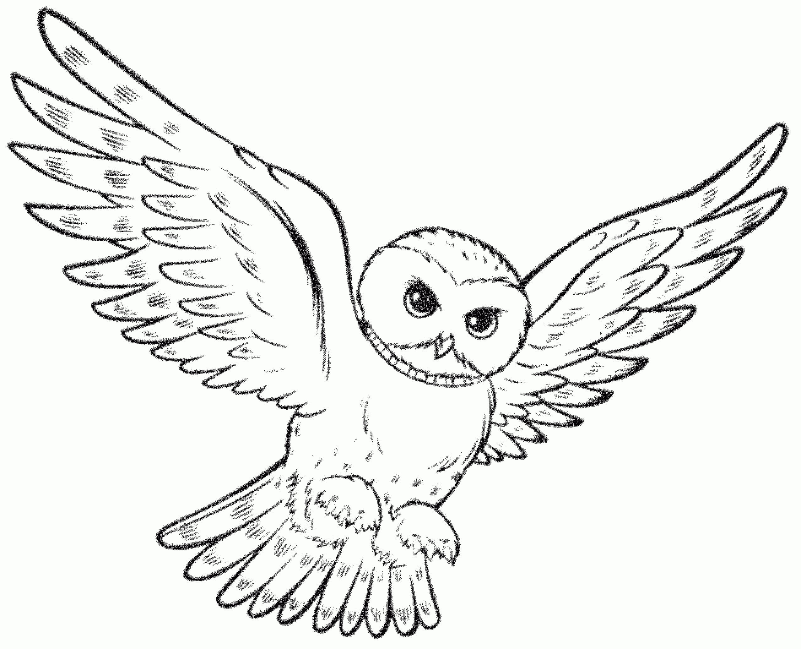 Owl Coloring Pages Preschool Coloring Home