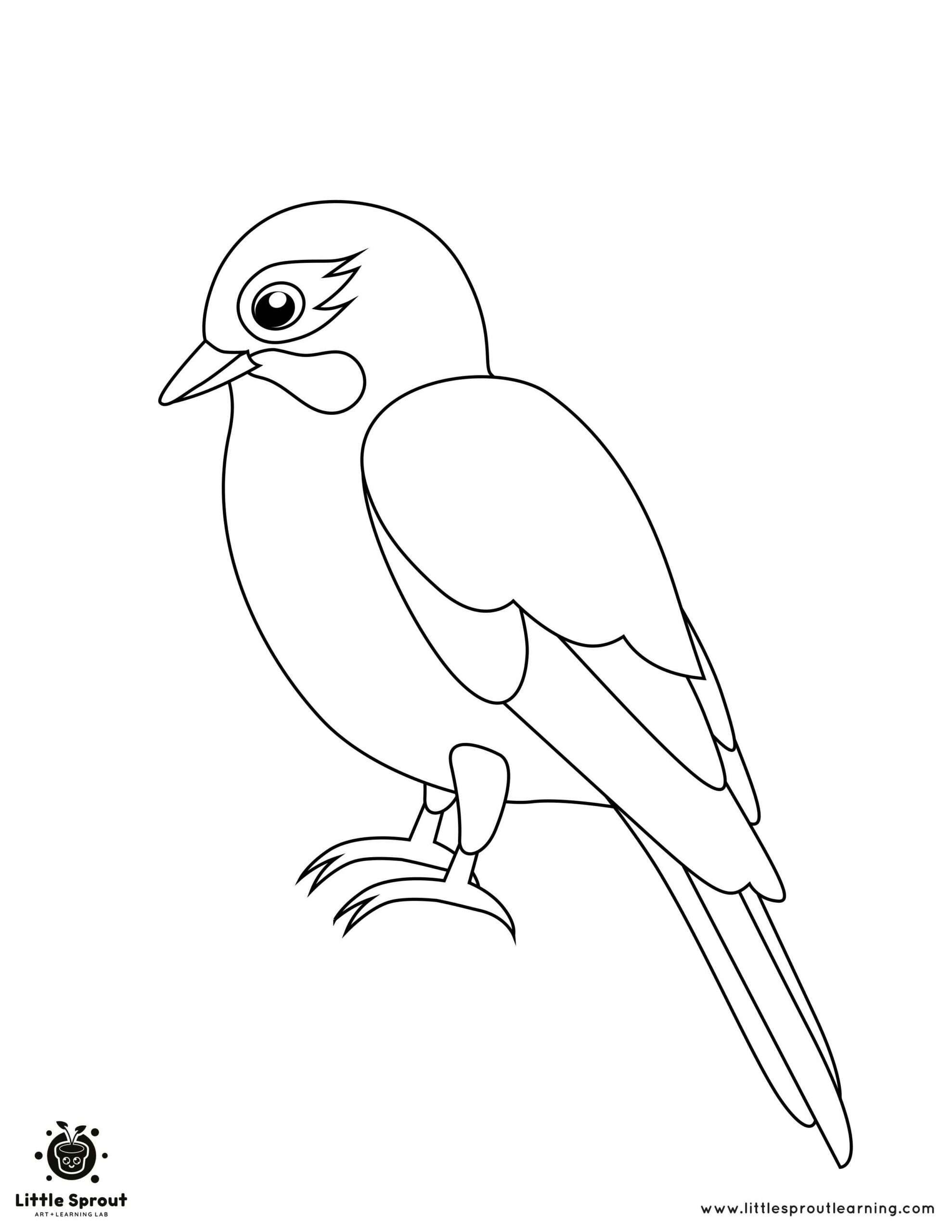 Perched Bird Coloring Page Little Sprout Art Learning