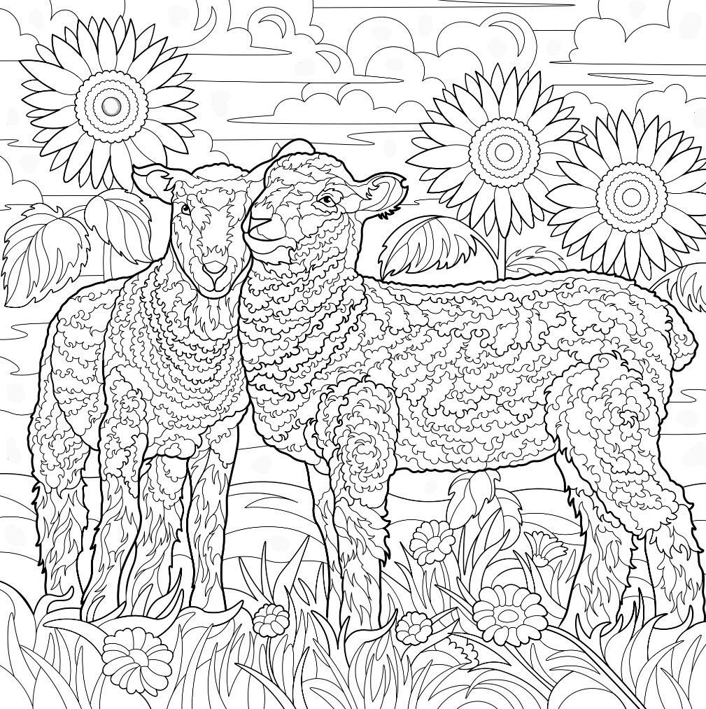Pin Van Barbara Op Coloring Farm Animals
