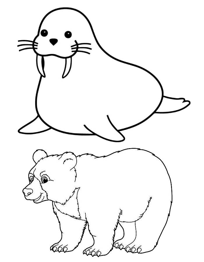 Polar Animals Coloring Page
