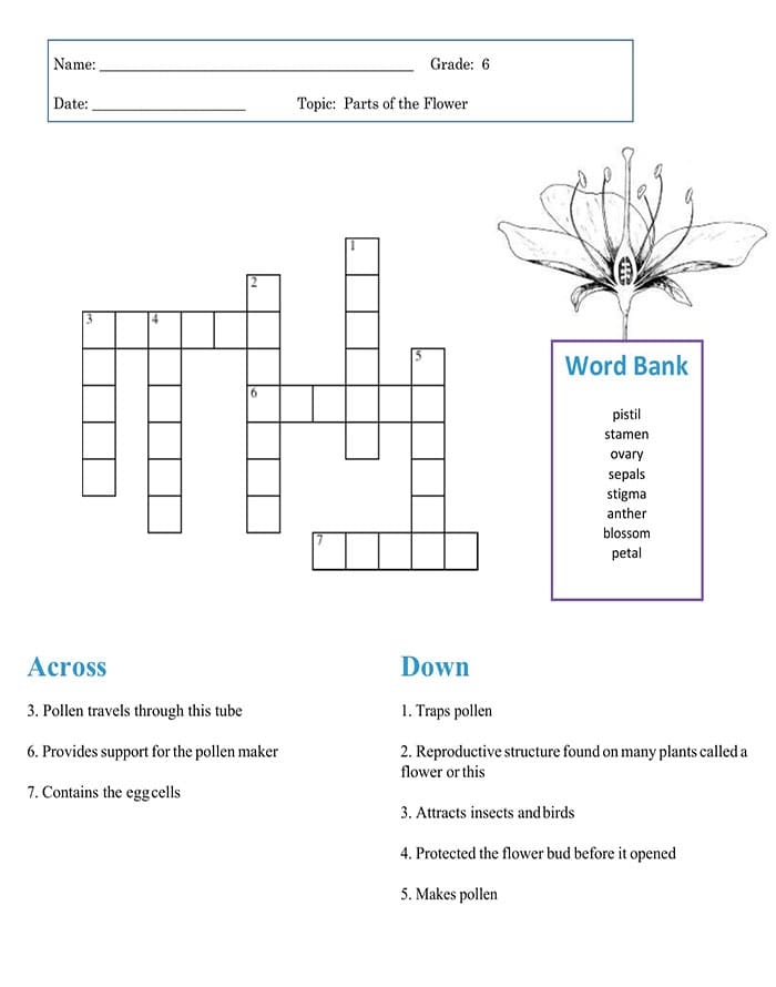 Printable Easy Crossword Puzzles PrintableLib