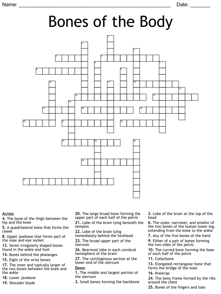 Printable Skeletal System Crossword Puzzle Free Crossword Puzzles 