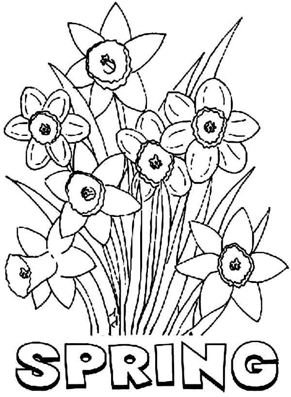 Printable Spring Color Pages