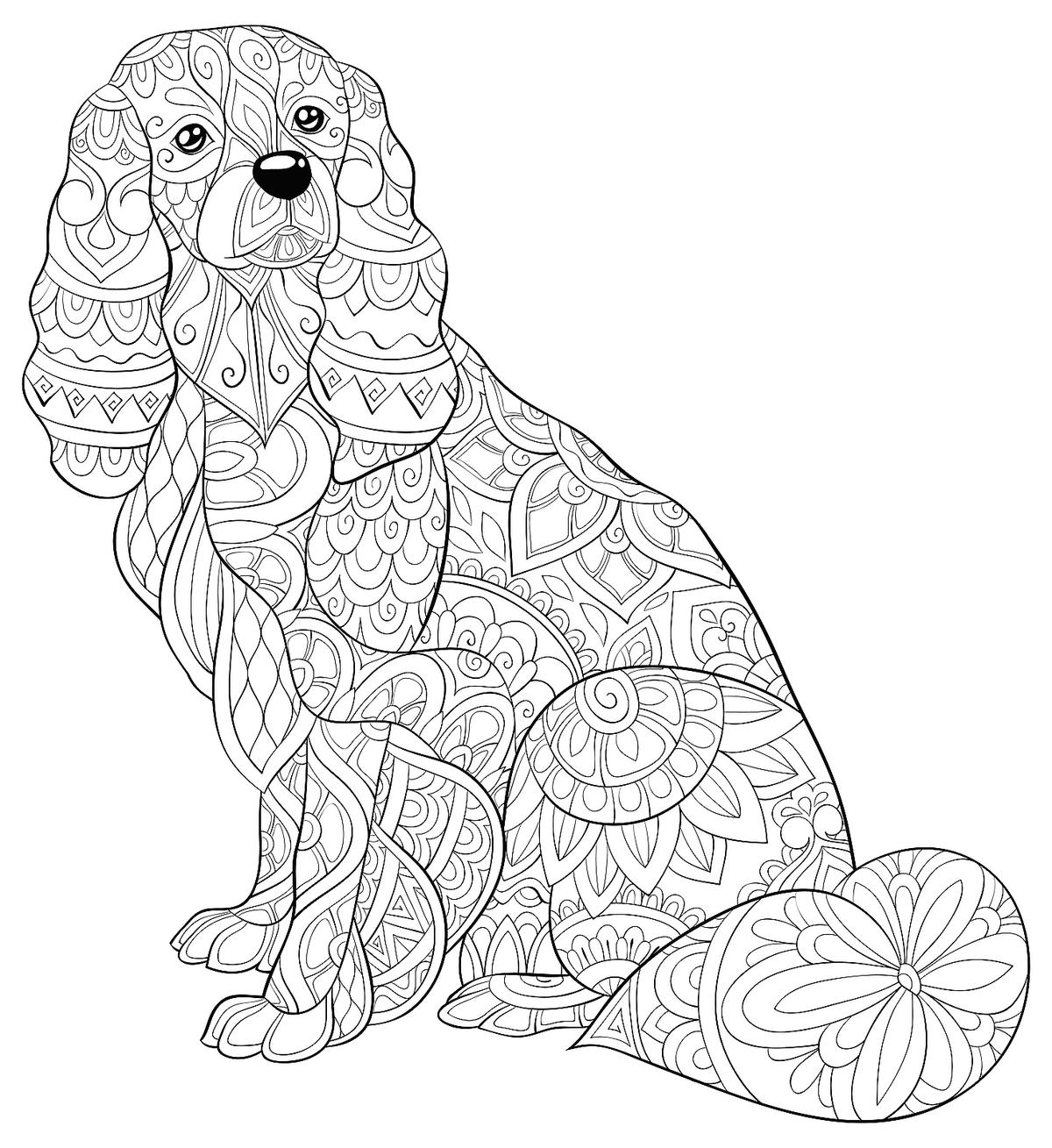Puppy Dog Coloring Pages Adult Coloring Pages