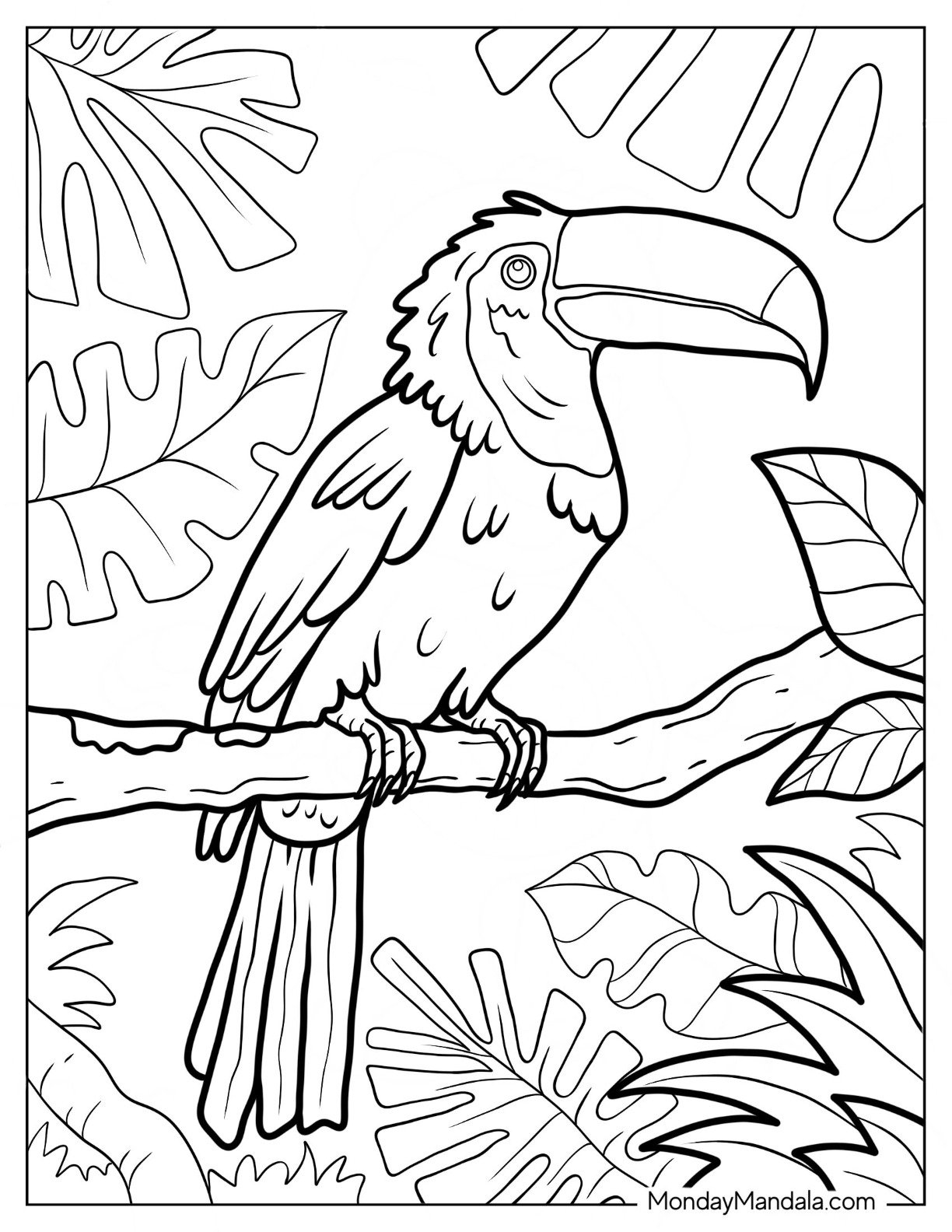 Rainforest Pictures To Color Infoupdate