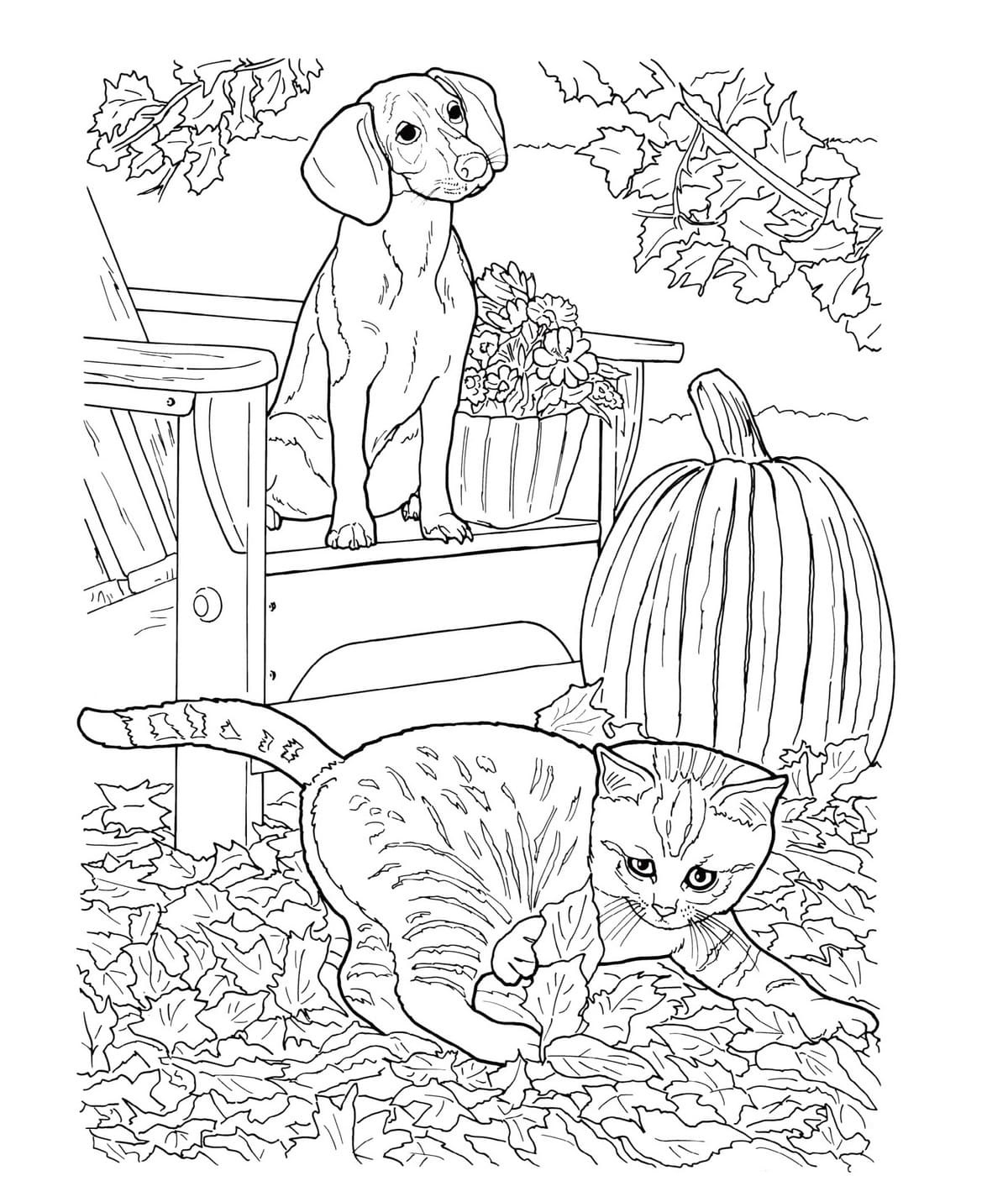 Realistic Dog And Cat Coloring Page Free Printable Coloring Pages For 