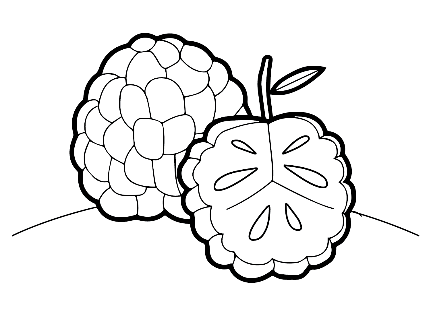 Ripe Custard Apple Coloring Page Free Printable Coloring Pages