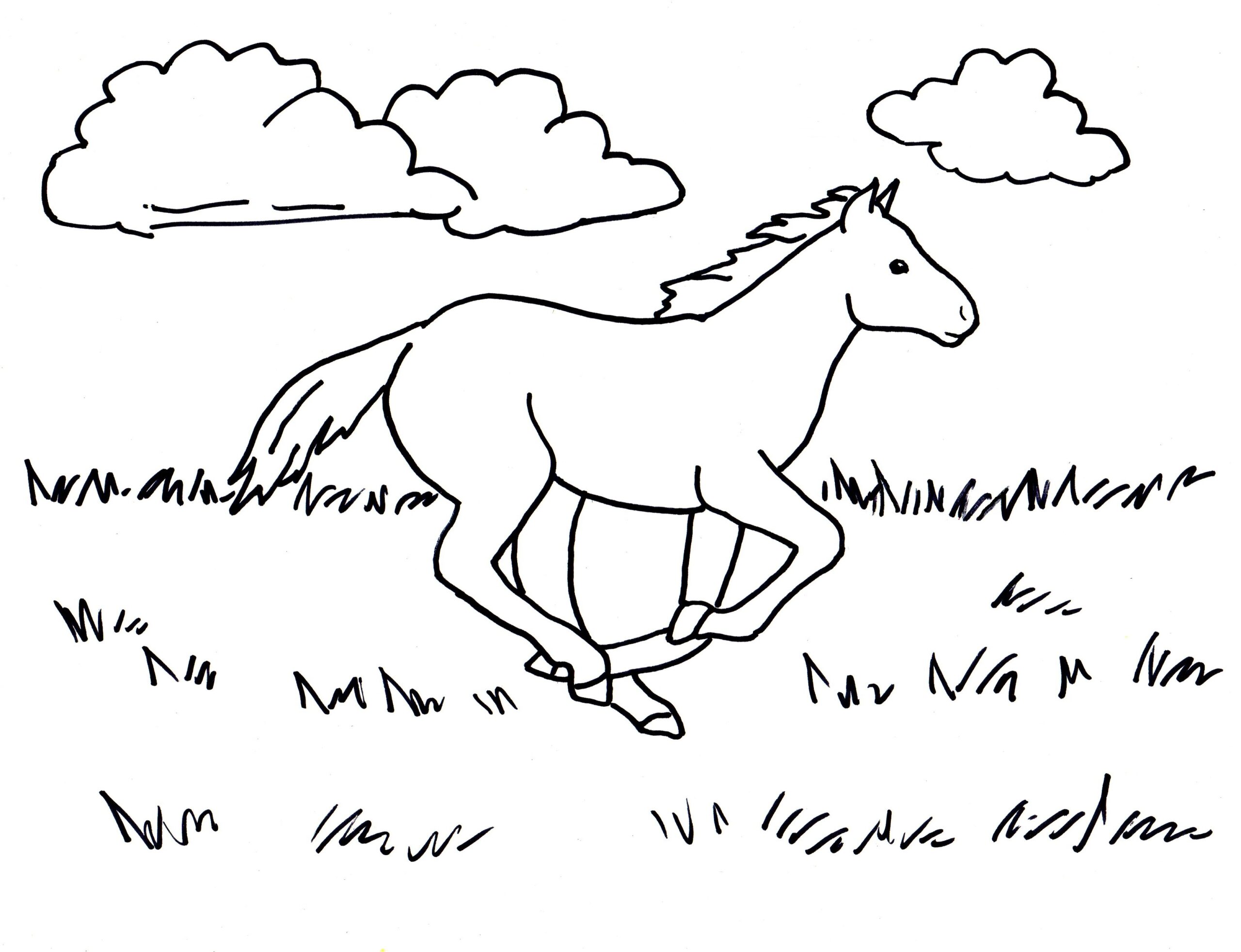 Running Horse Coloring Page