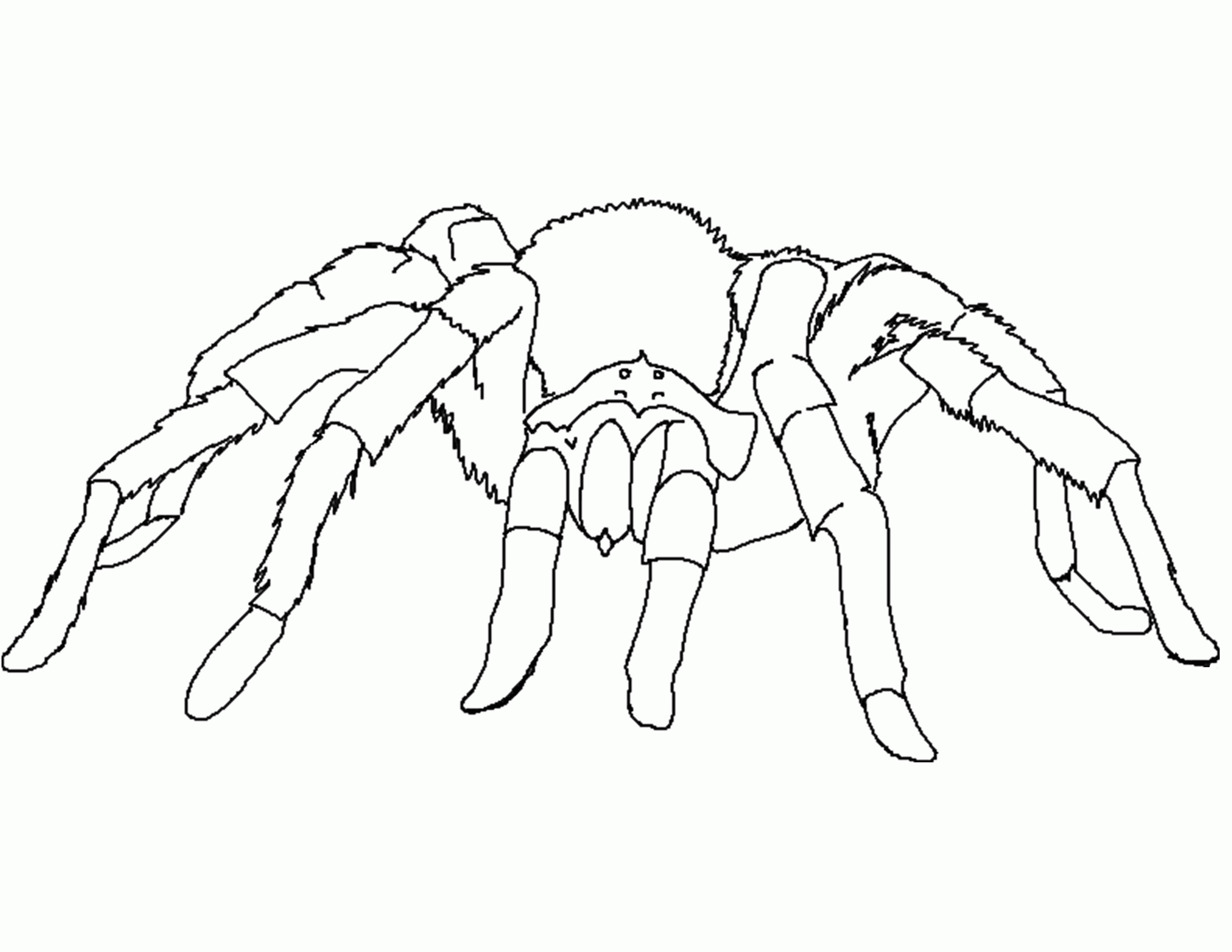 Scary Spider Coloring Pages Coloring Home