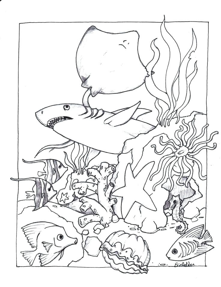 Sea Creatures Coloring Pages At GetColorings Free Printable 