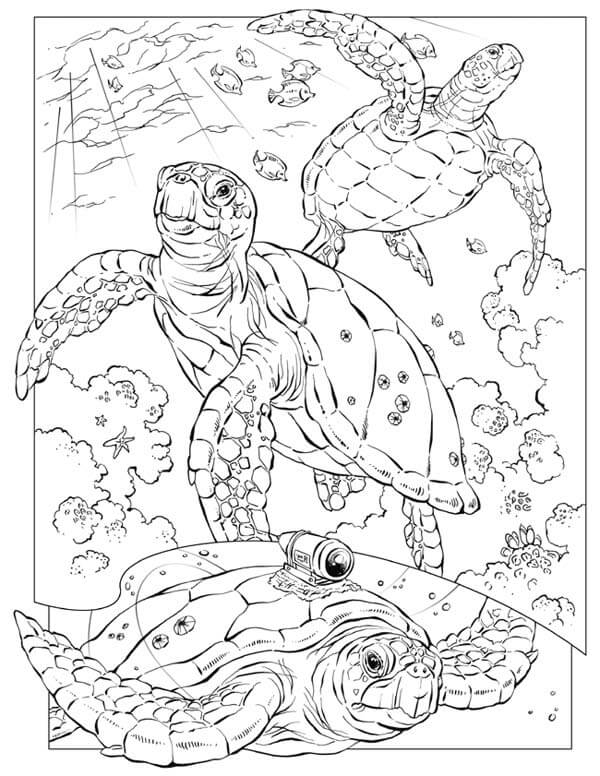 Sea Turtle Coloring Pages Printable Coloring Pages FREE