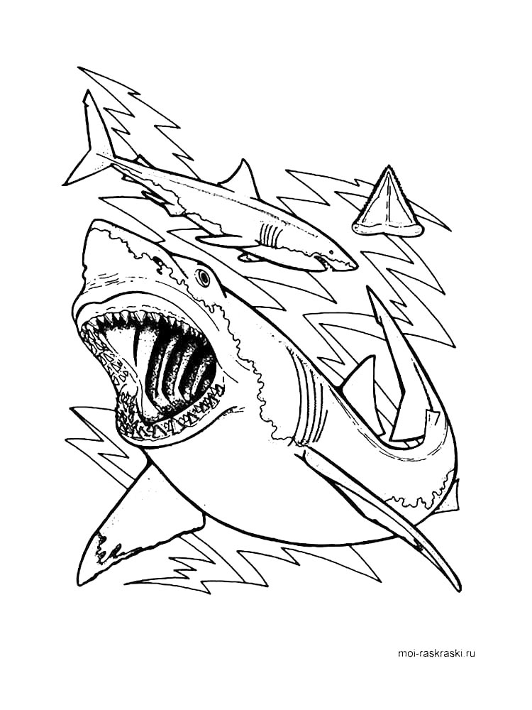 Sharks Coloring Pages Download And Print Sharks Coloring Pages