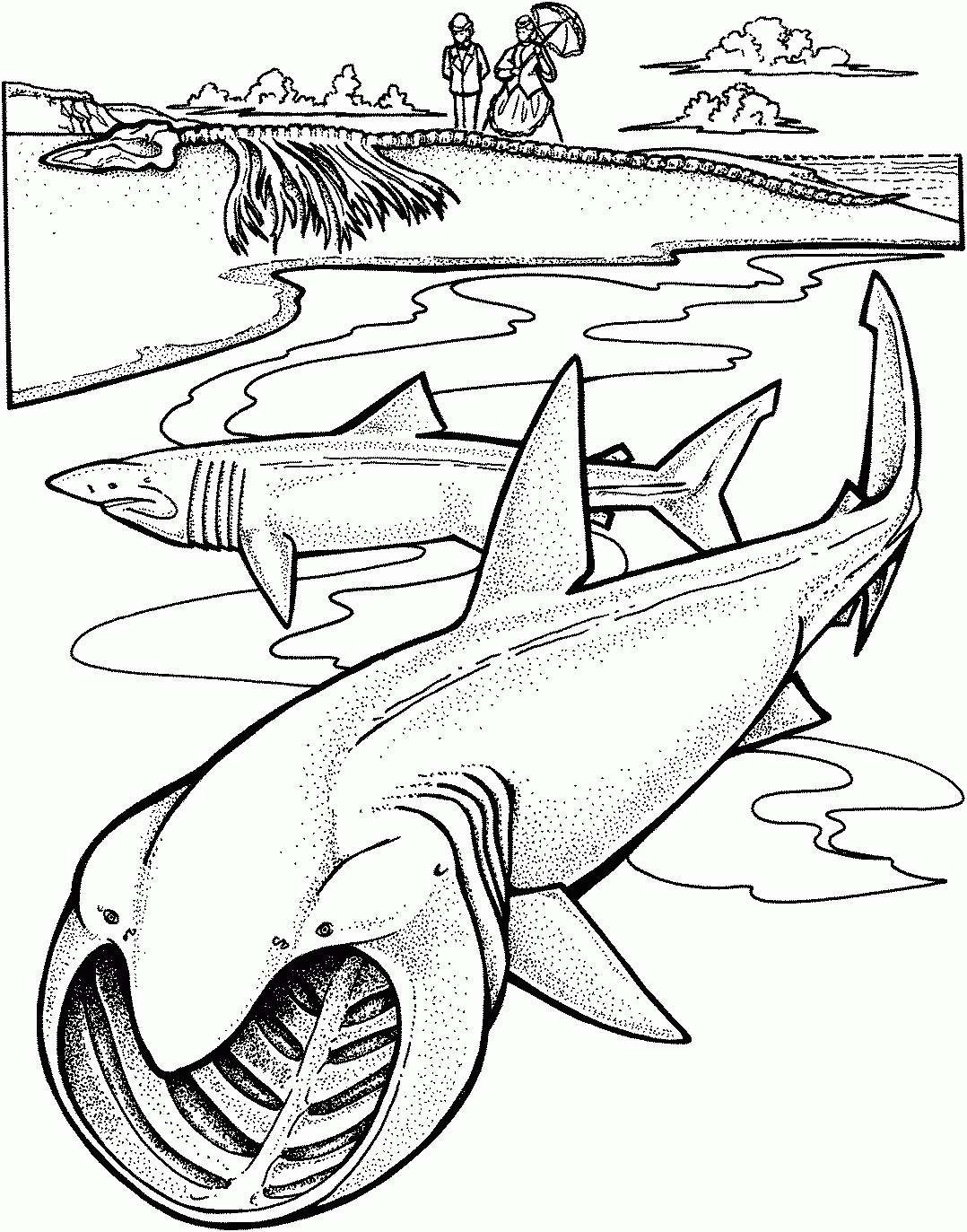 Sharks Coloring Pages Learny Kids
