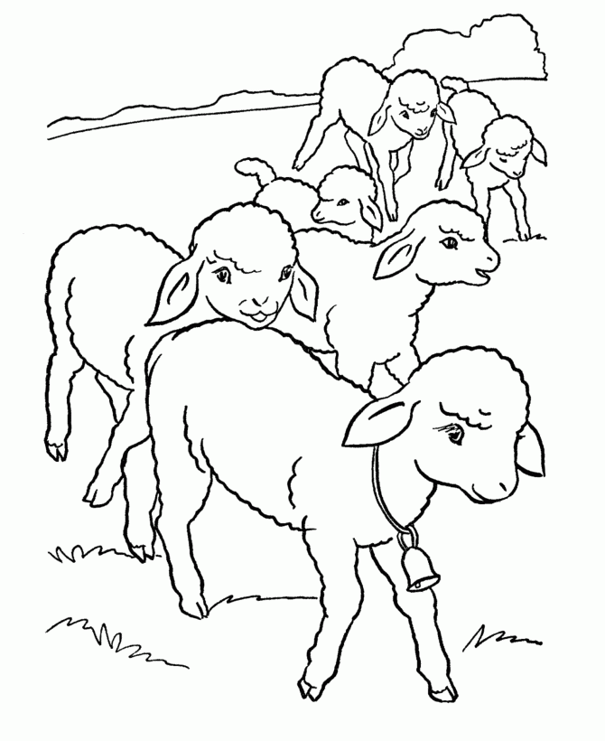 Sheep Template Printable Coloring Home