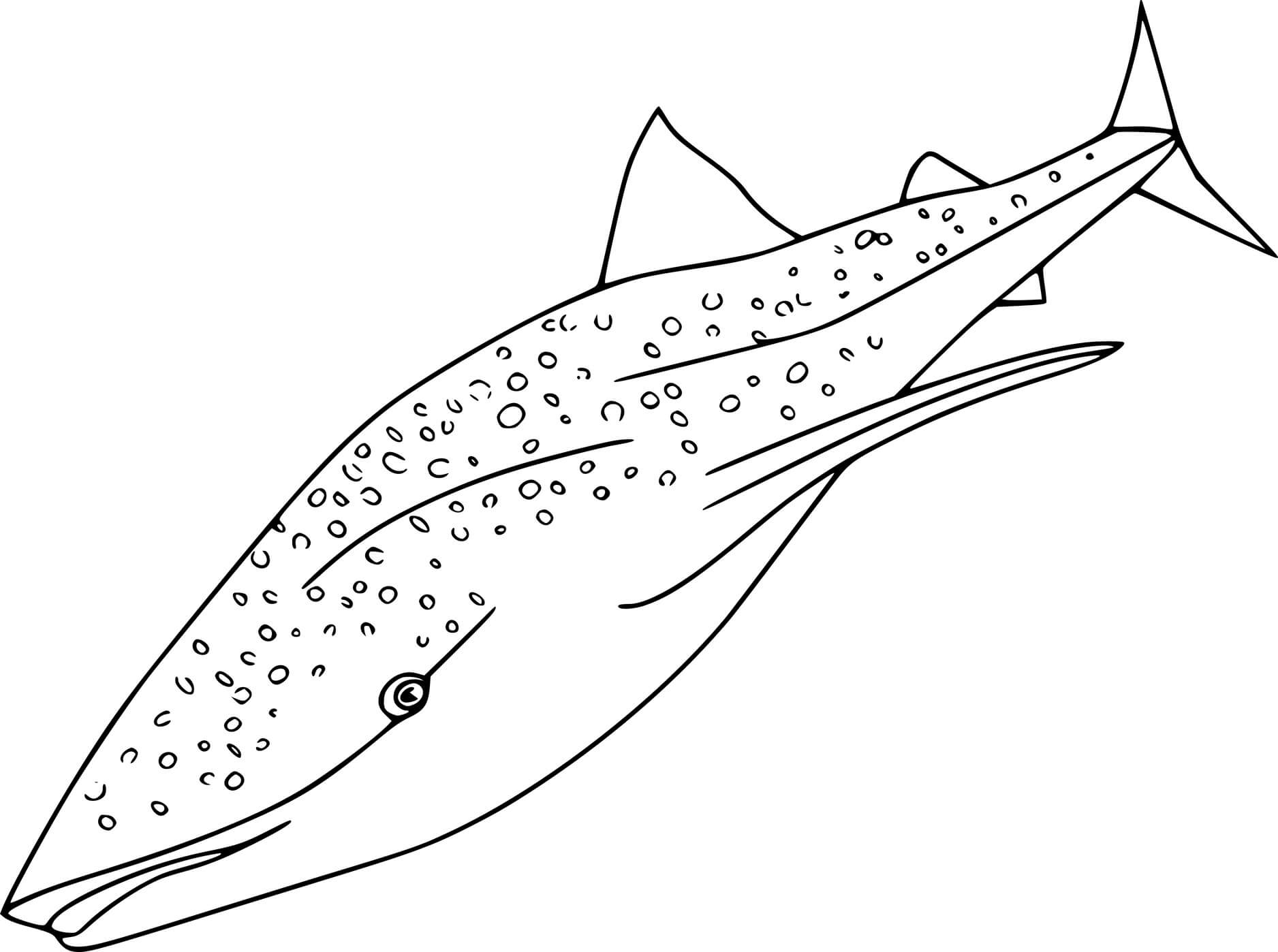 Simple Whale Shark Coloring Pages Coloring Cool