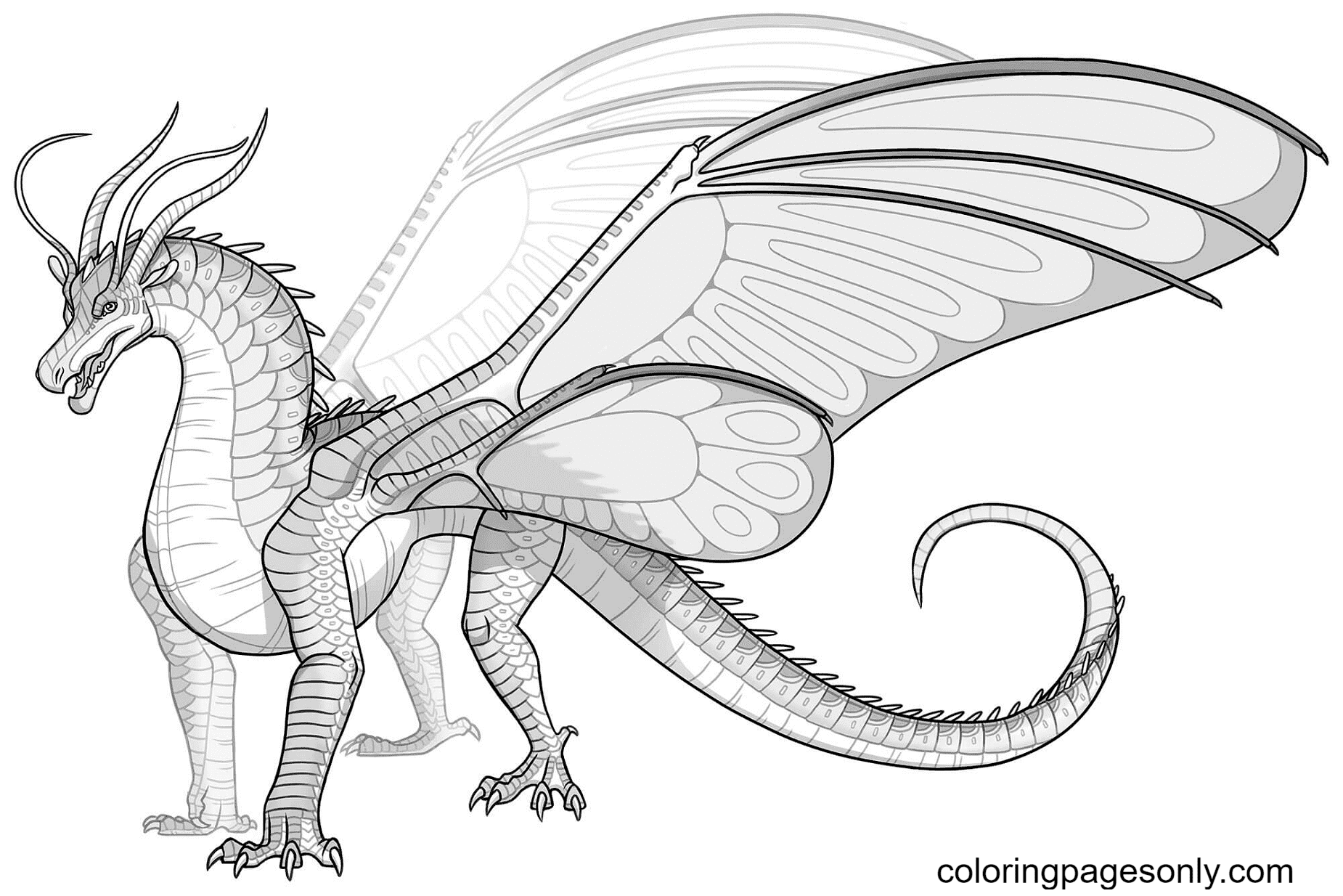 Skywing Dragon Coloring Page Free Printable Coloring Pages