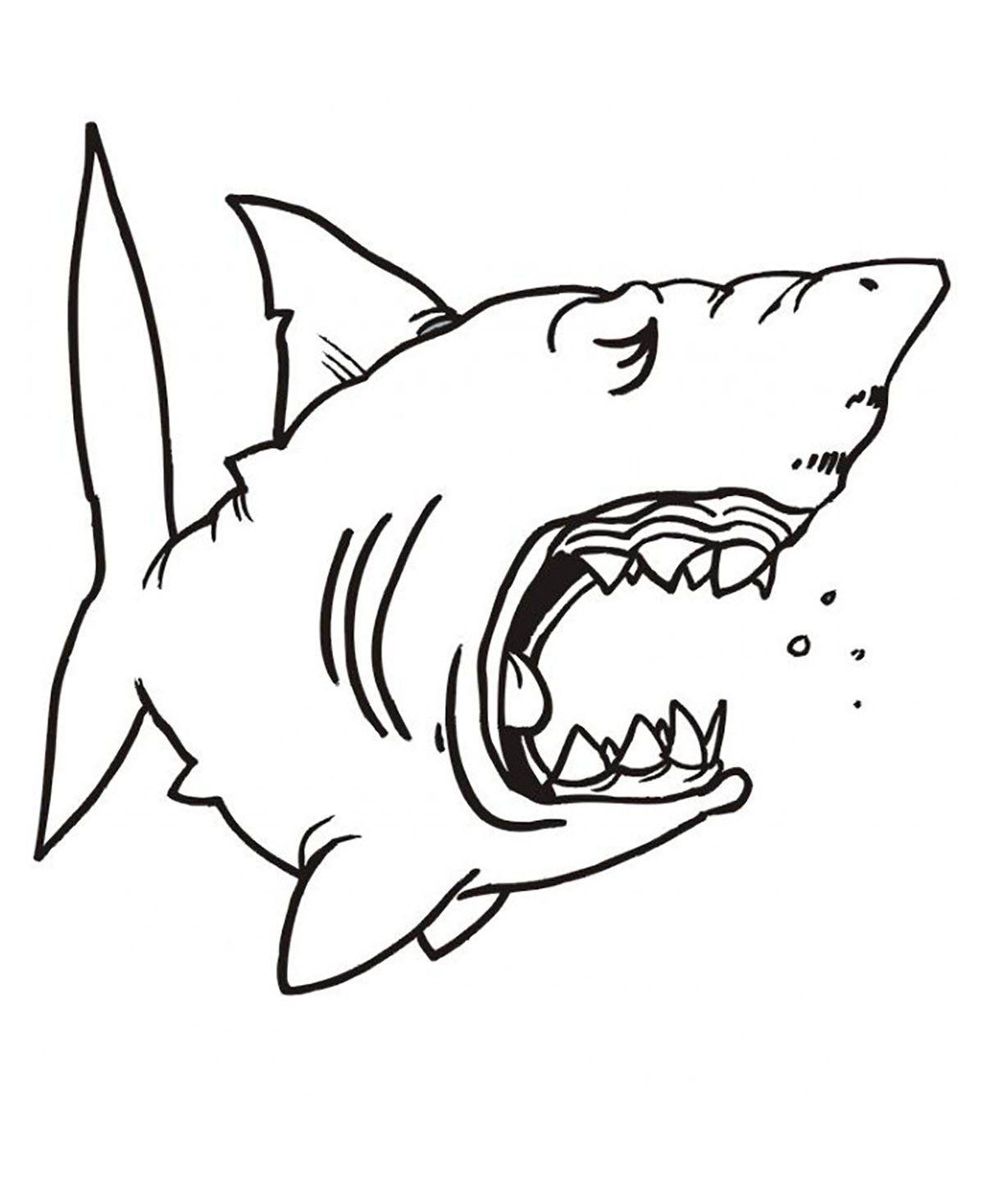 Sleeping Shark Shark Coloring Pages For Kids