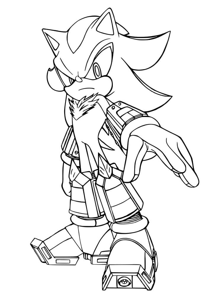 Sonic And Shadow The Hedgehog Coloring Page Free Printable Coloring 