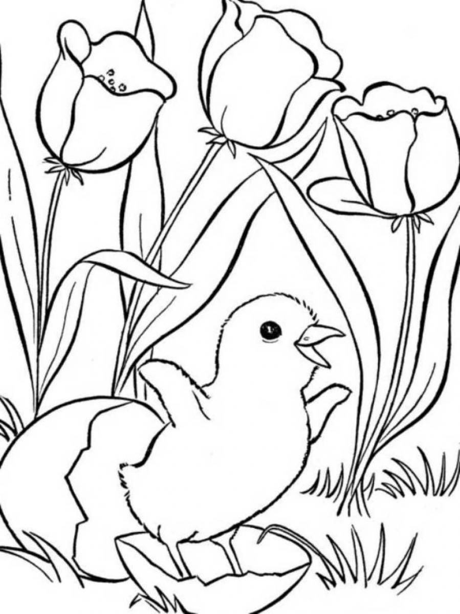 Spring Landscape Coloring Pages Coloring Home