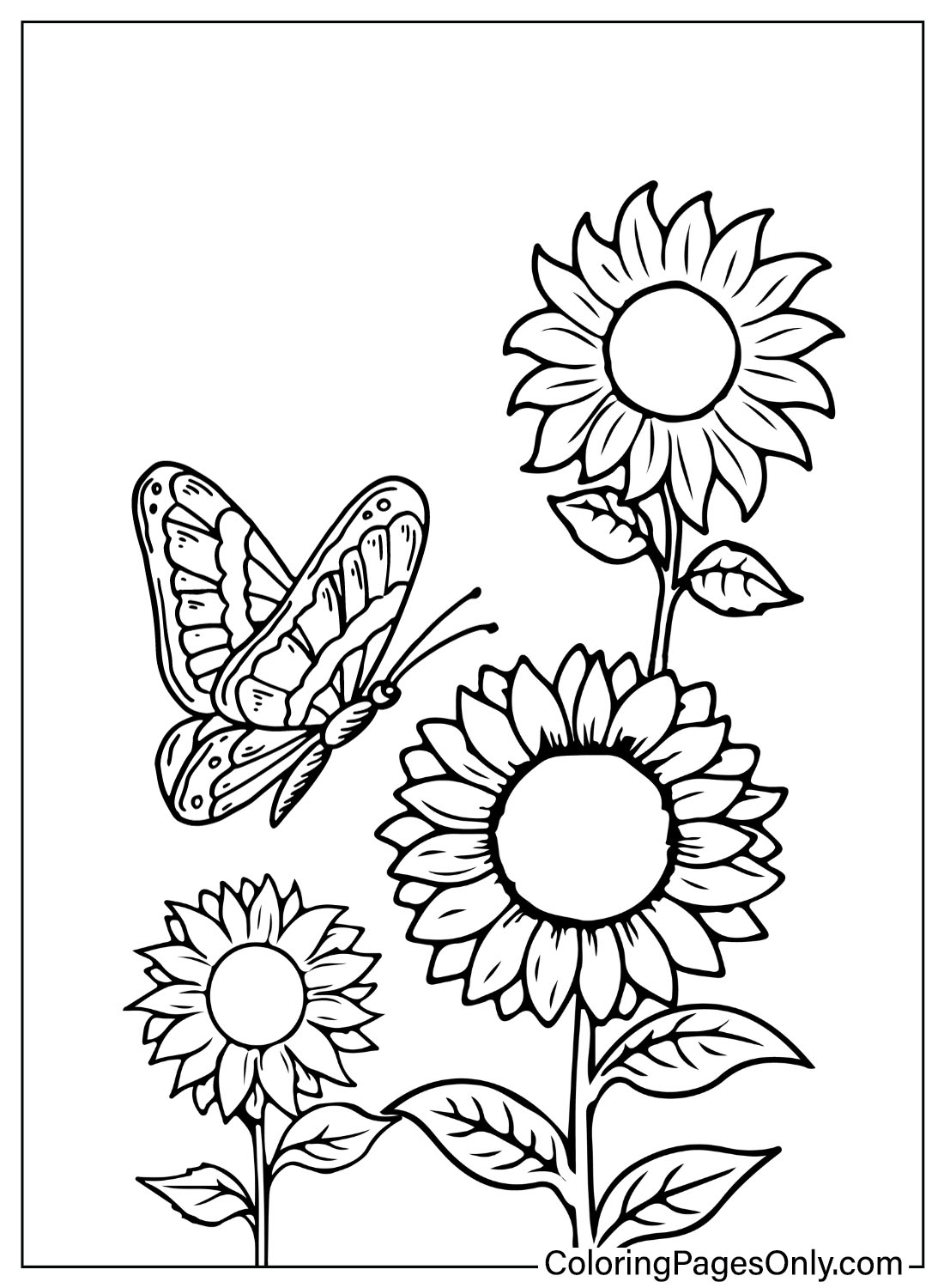Sunflower Coloring Book Free Printable Coloring Pages
