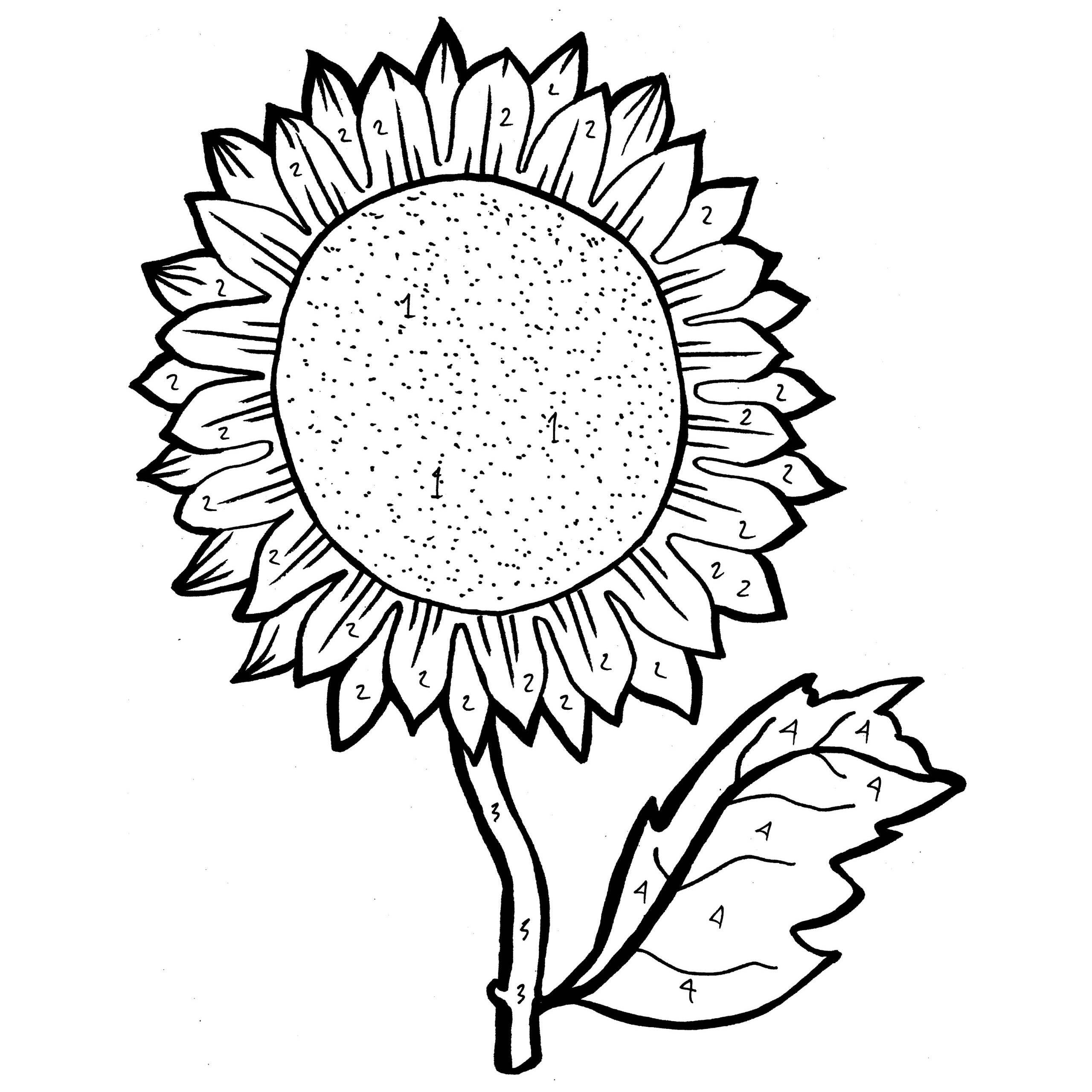 Sunflower Coloring Pages Learny Kids
