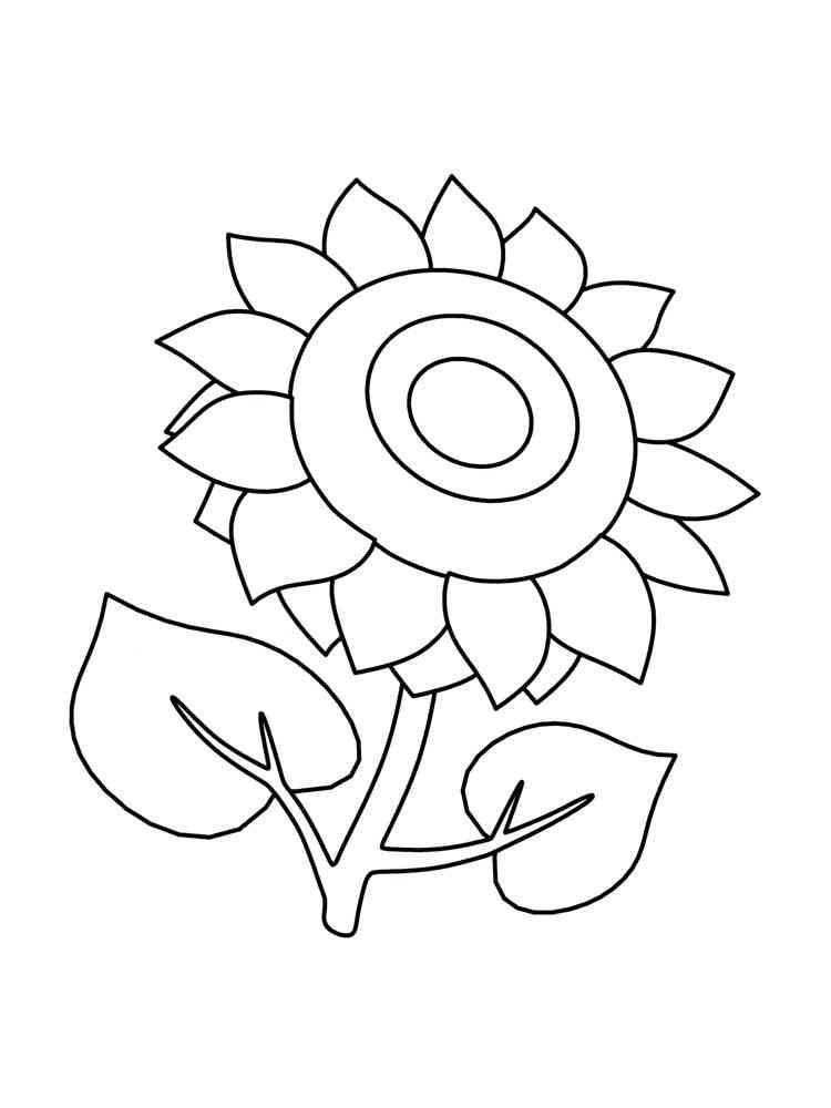 Sunflower Coloring Pages