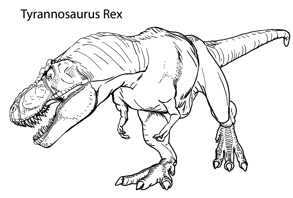 T Rex Coloring Pages Printable Coloring Pages FREE