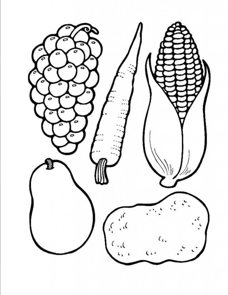Thanksgiving Food Coloring Pages Fruits And Vegetables Free Printable 