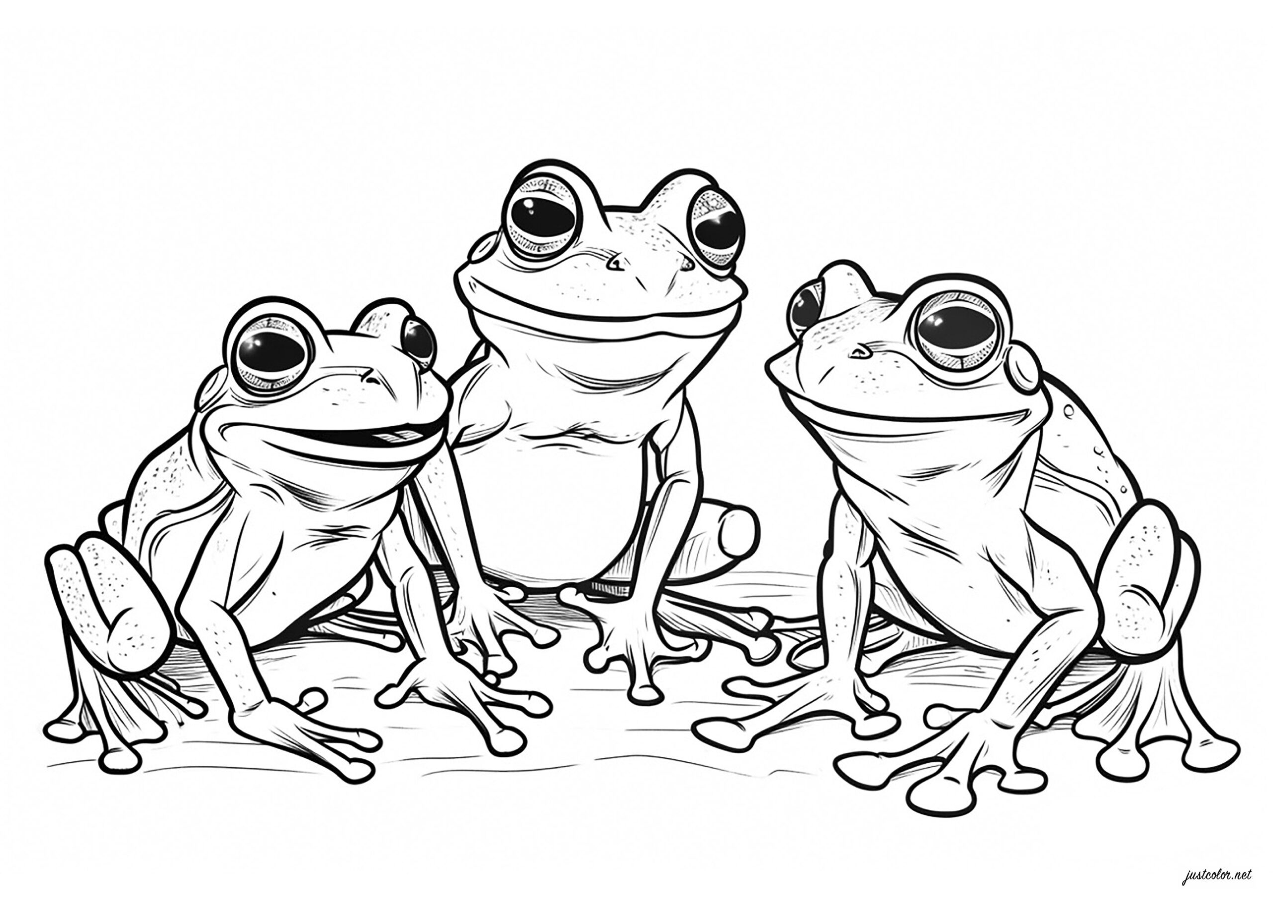 Three Beautiful Frogs Frog Coloring Pages