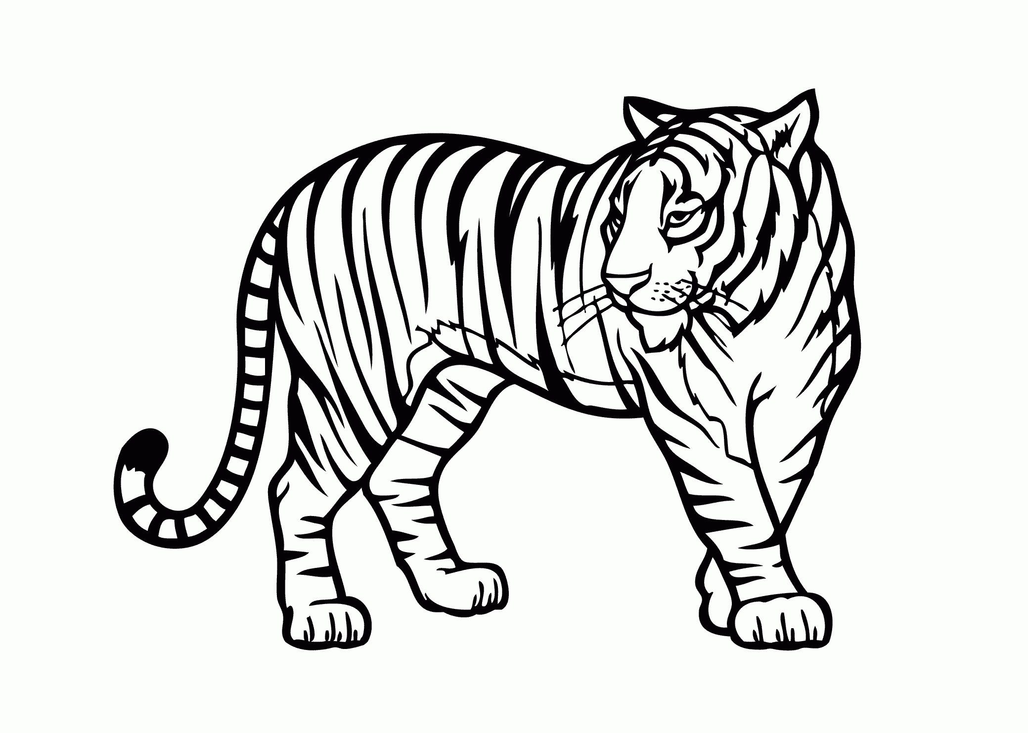 Tiger Coloring Pages Free Coloring Home