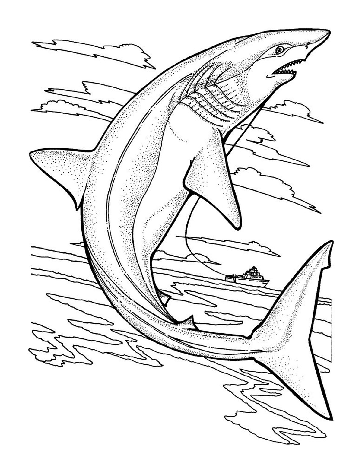 Very Realistic Shark Shark Coloring Pages For Kids