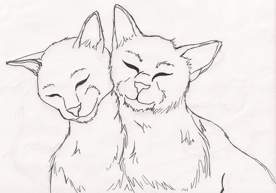 Warrior Cats Coloring Page Coloring Home