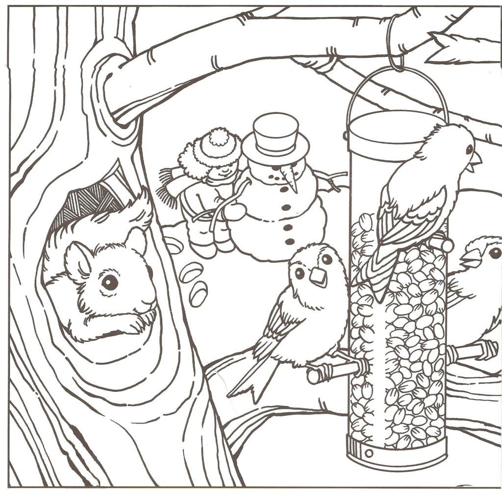 Winter Coloring Pages For Adults Coloring Home