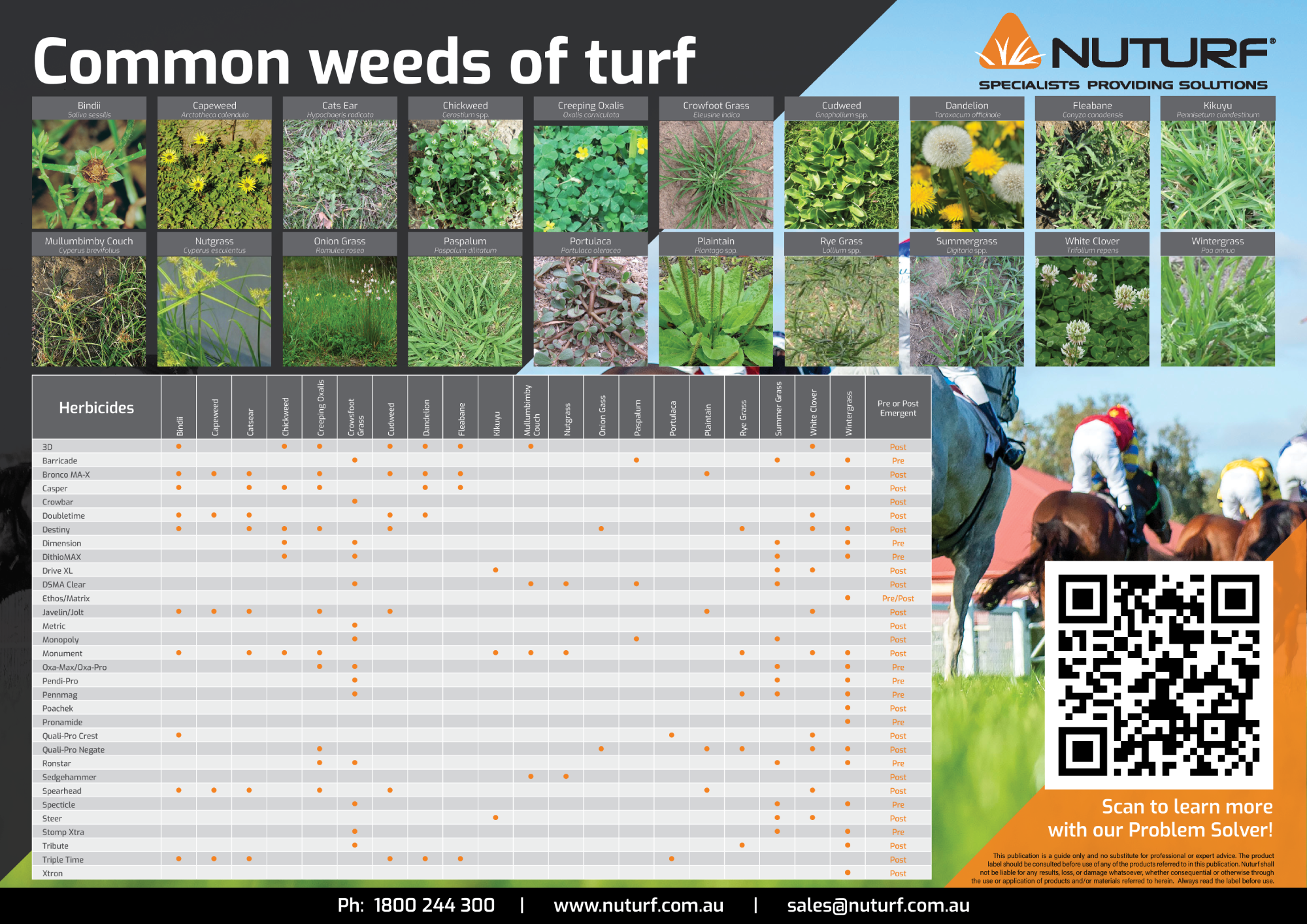 Downloadable Guide Common Weeds Of Turf Article