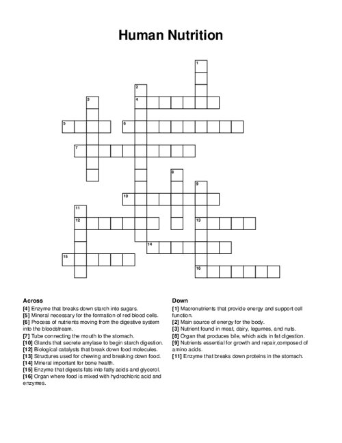 Human Nutrition Crossword Puzzle