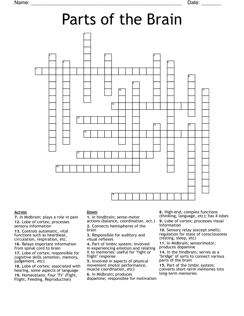 Newsday Crossword Puzzle Brains Only New York Crossword Puzzle