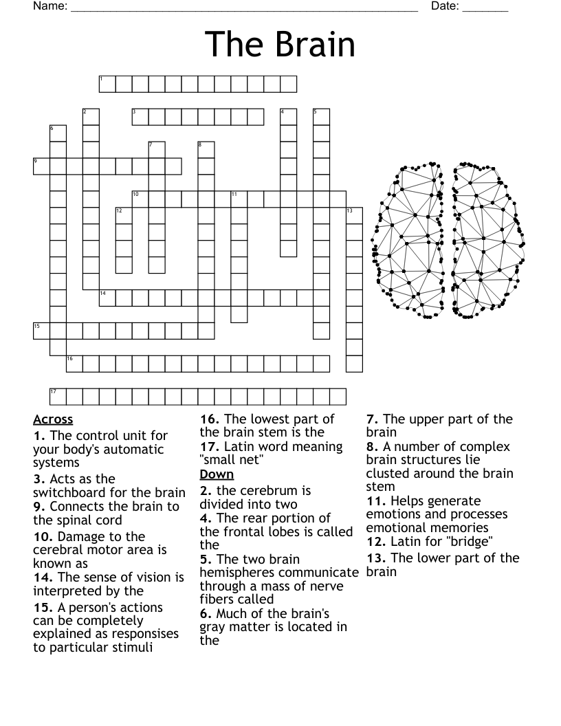 Newsday Crossword Puzzle Brains Only New York Crossword Puzzle
