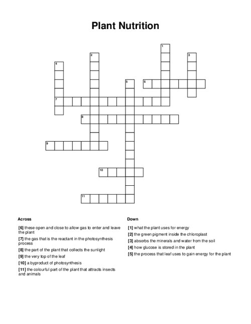 Plant Nutrition Crossword Puzzle