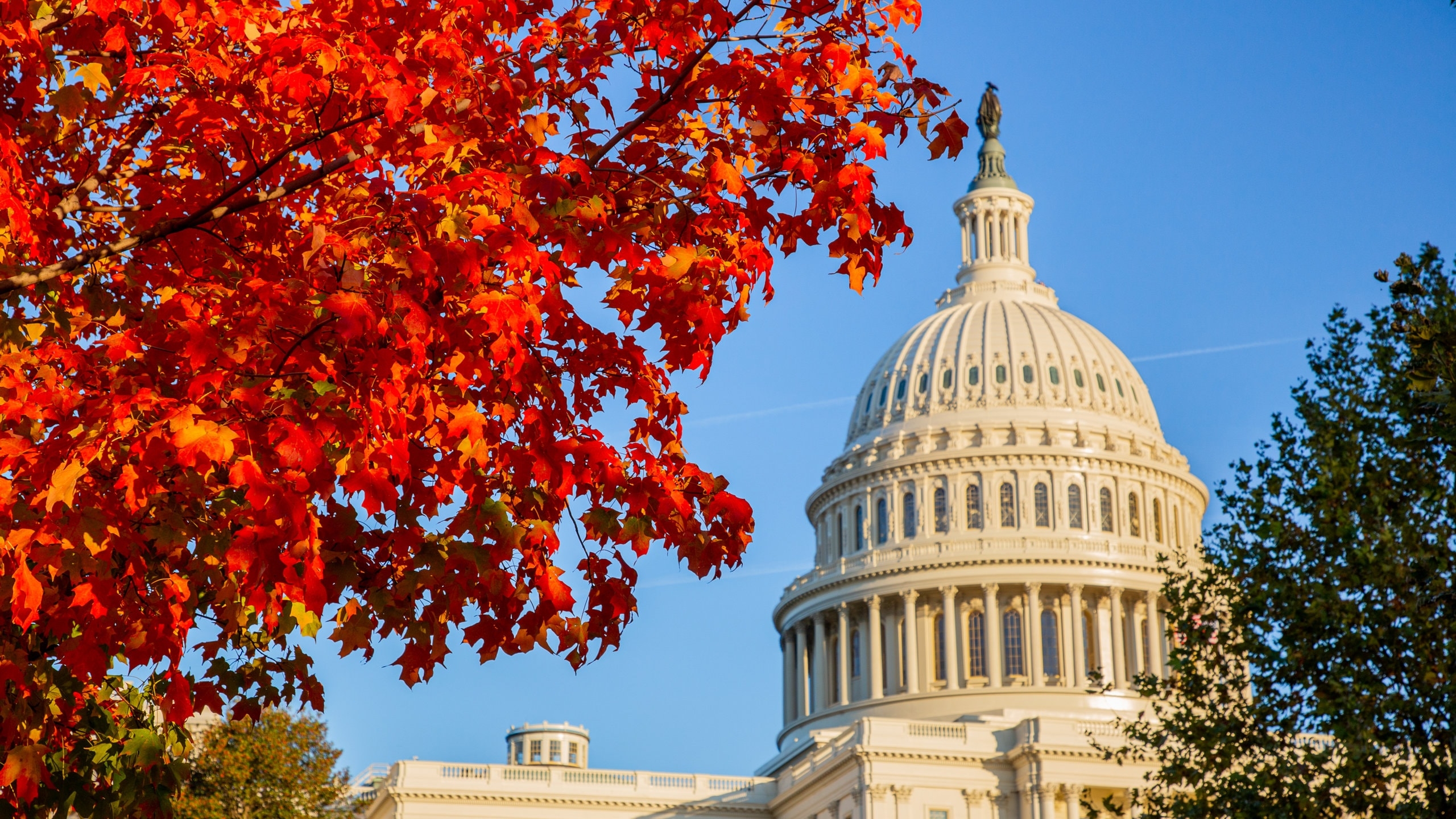 Reisetipps Washington 2022 Das Beste In Washington Entdecken Expedia