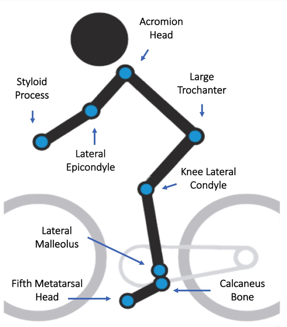 Discomfort Pain And Fatigue Levels Of 160 Cyclists After A Kinematic Bike fitting Method An Experimental Study BMJ Open Sport U0026 Exercise Medicine
