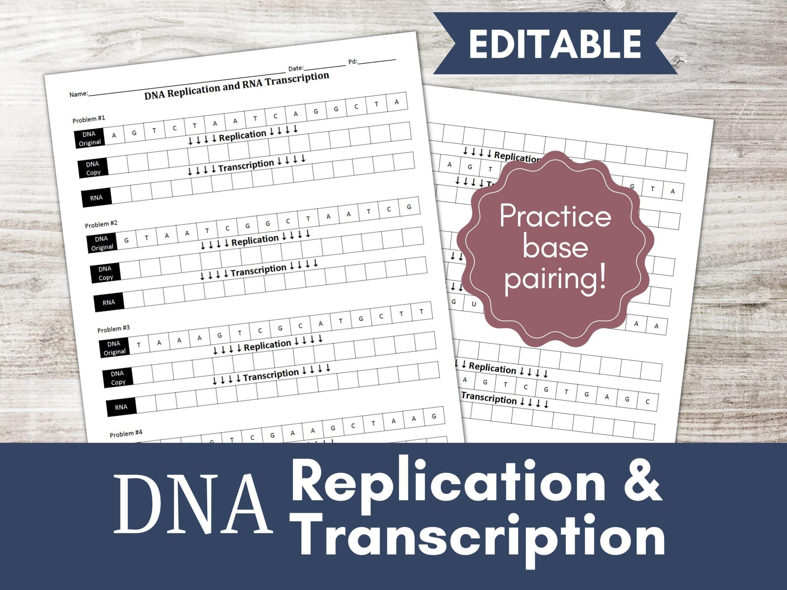 DNA Replication And Transcription Worksheet Activity Practice Base Pairing Biology And Life Science Cells RNA