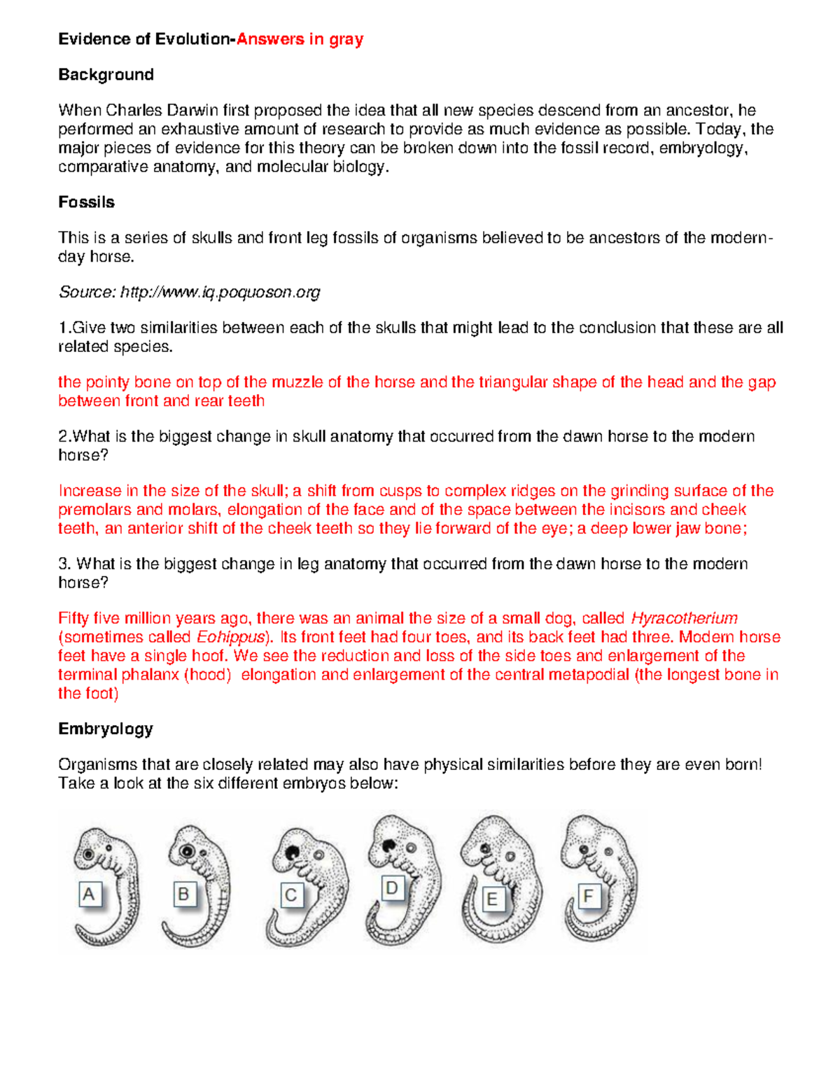 Evolution Evidence Detailed Answers On Fossils Anatomy U0026 More 