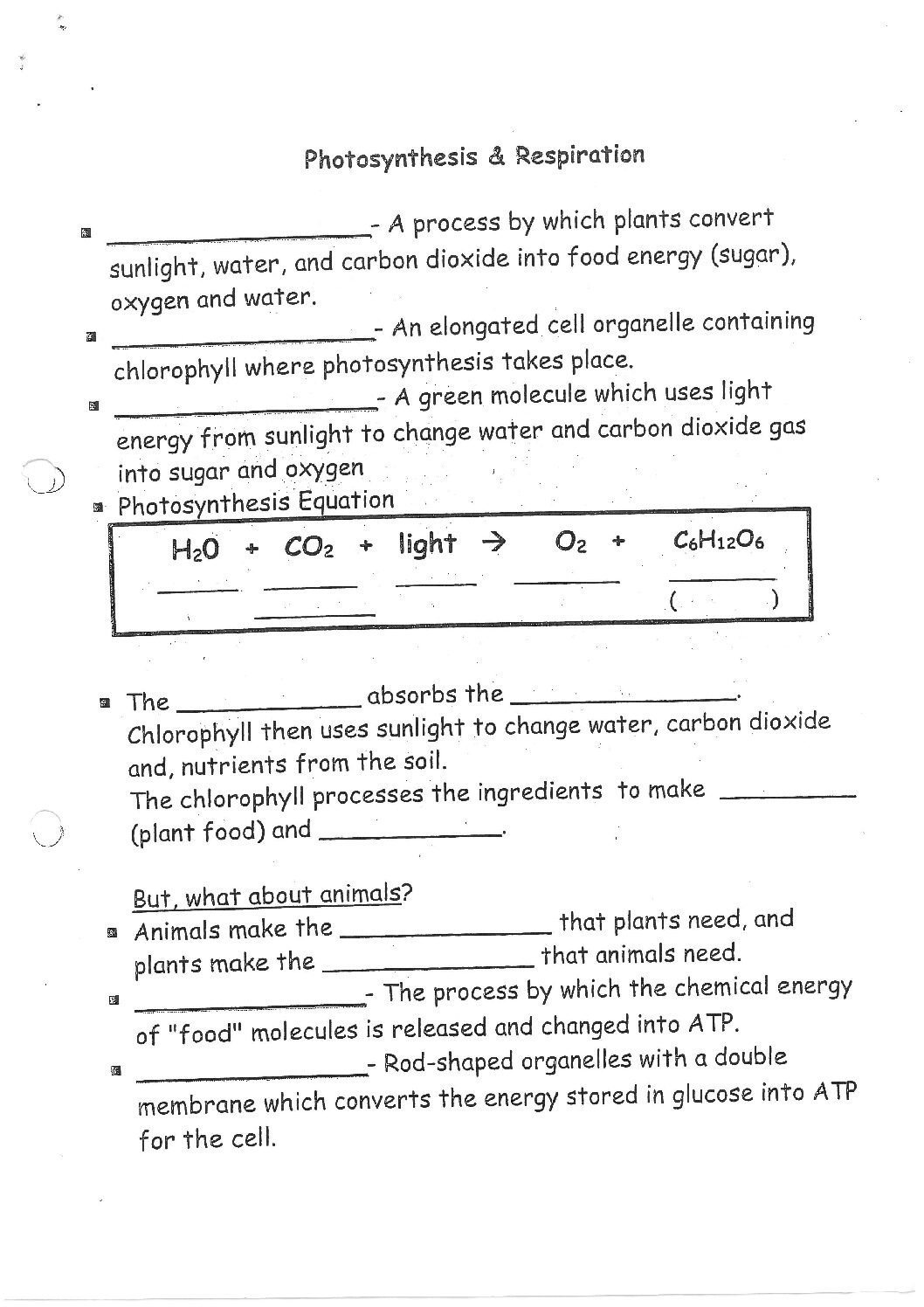 Photosynthesis And Cellular Respiration Revision Worksheet